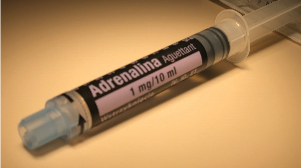 PARAMEDIC2: A Randomized Trial of Epinephrine in Out-of-Hospital Cardiac Arrest